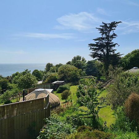 Puckaster Cove Cabin Niton Kültér fotó