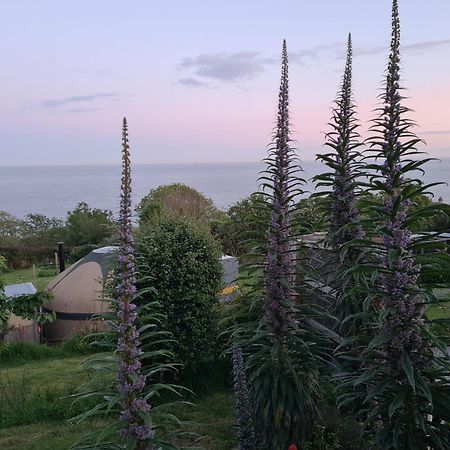 Puckaster Cove Cabin Niton Kültér fotó