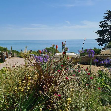 Puckaster Cove Cabin Niton Kültér fotó