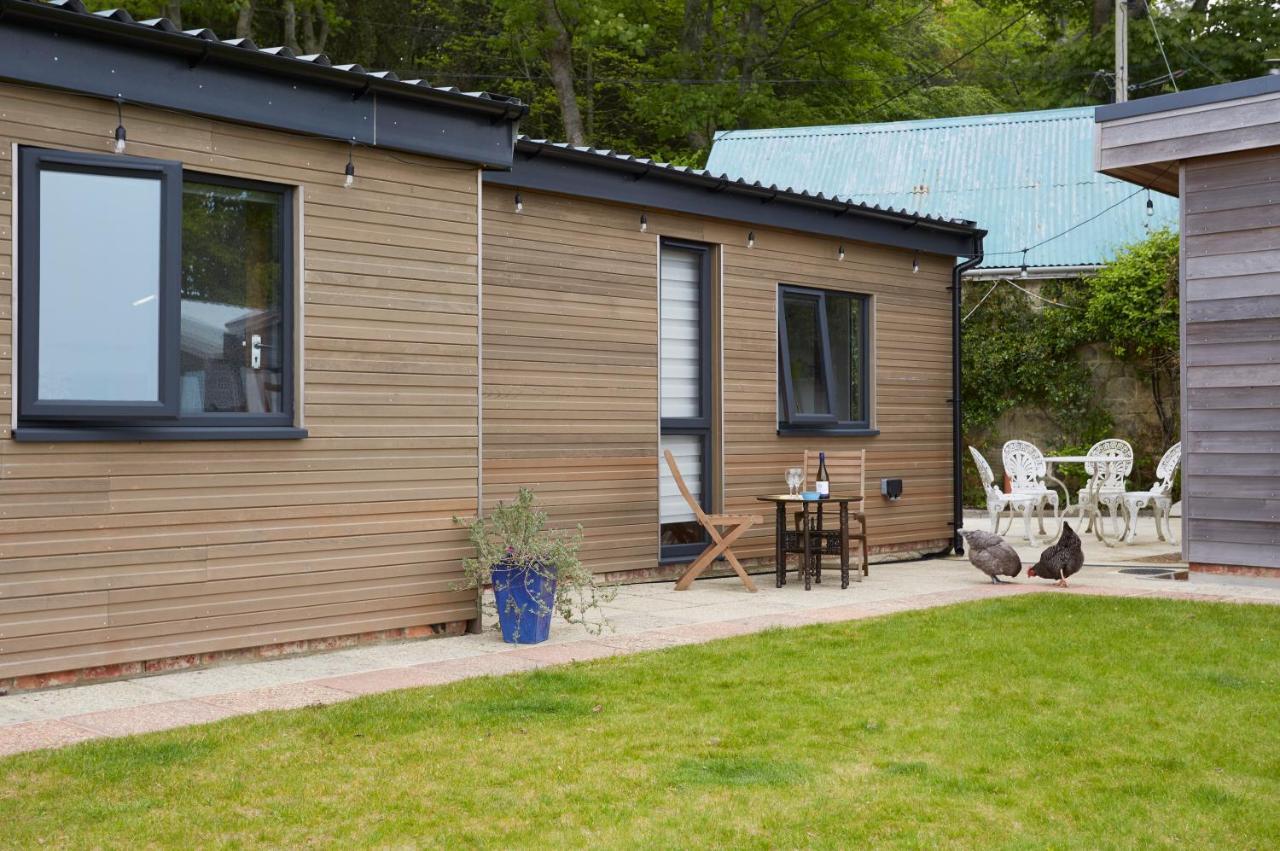 Puckaster Cove Cabin Niton Kültér fotó