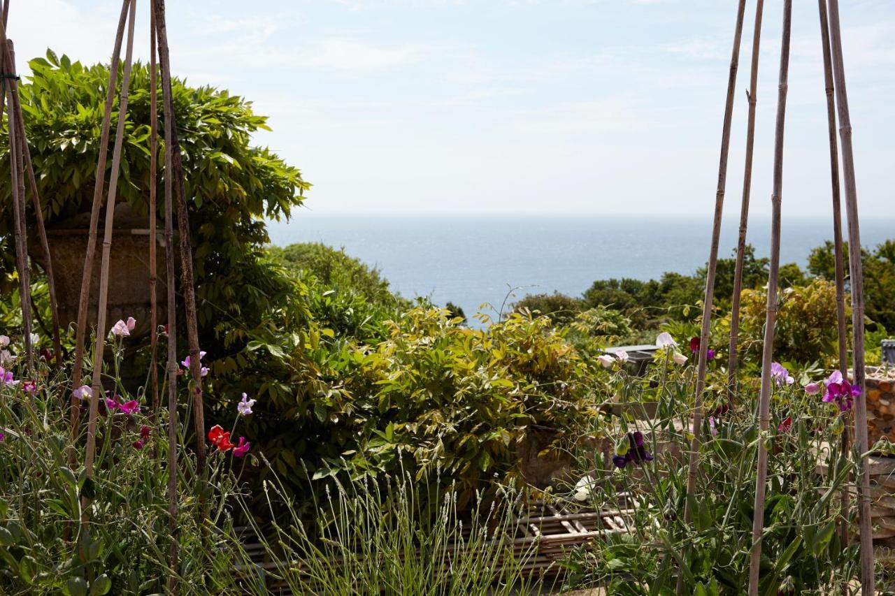 Puckaster Cove Cabin Niton Kültér fotó